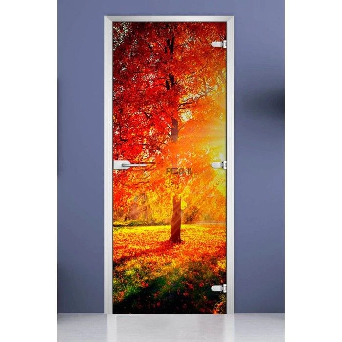 Стеклянная межкомнатная дверь DoorWood с фотопечатью Forest-08, 2000х800 мм