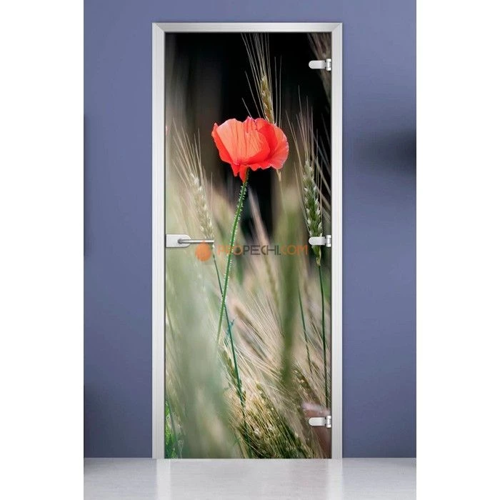 Стеклянная межкомнатная дверь DoorWood с фотопечатью Flowers-18, 2000х800 мм