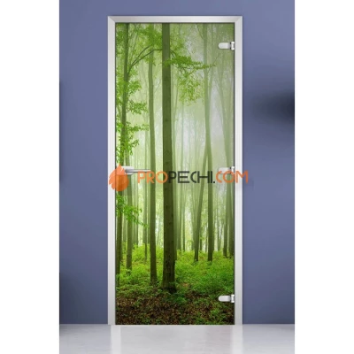 Стеклянная межкомнатная дверь DoorWood с фотопечатью Forest-15, 2000х700 мм