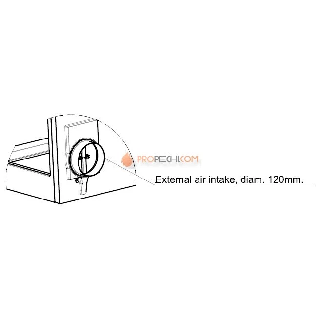 Каминная топка Liseo Castiron LCI 9 GF