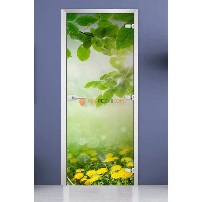 Стеклянная межкомнатная дверь DoorWood с фотопечатью Nature-19, 2000х700 мм