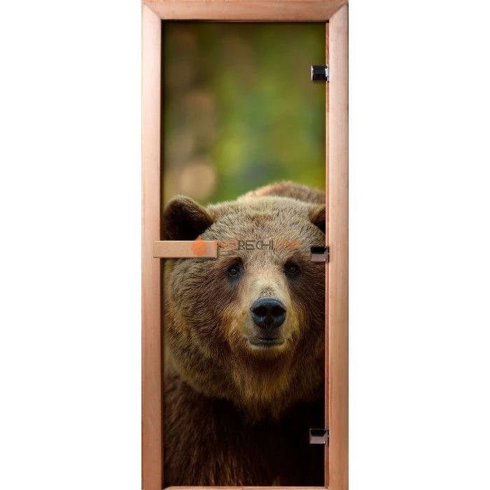 Дверь для бани DoorWood Фотопечать А065, 2100x800 мм