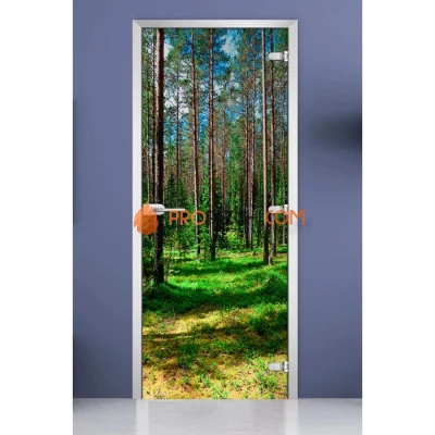 Стеклянная межкомнатная дверь DoorWood с фотопечатью Forest-03, 2000х700 мм