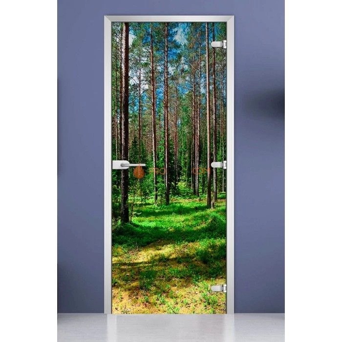 Стеклянная межкомнатная дверь DoorWood с фотопечатью Forest-03, 2000х700 мм