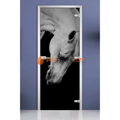 Стеклянная межкомнатная дверь DoorWood с фотопечатью Animals-11, 2000х700 мм