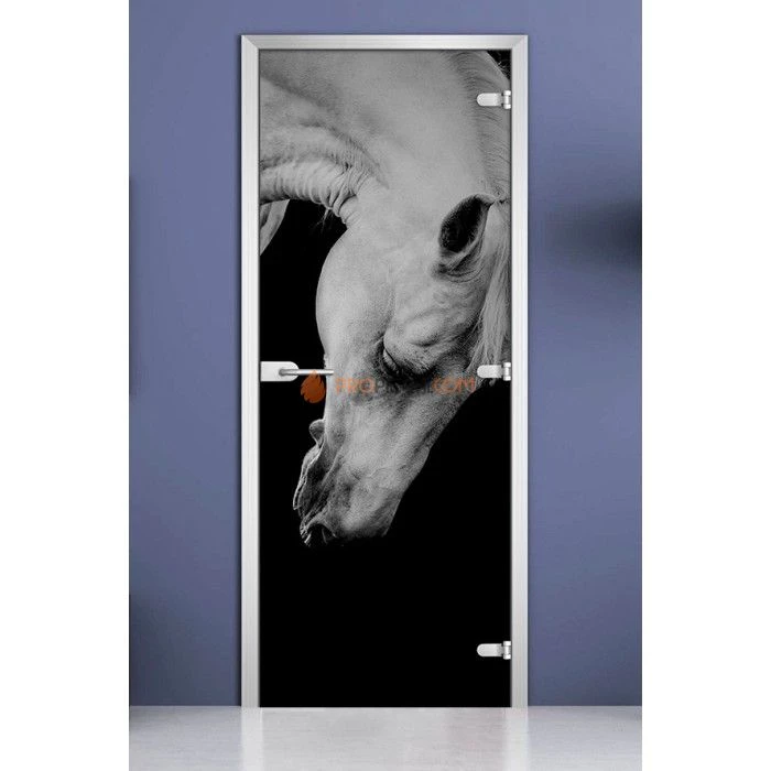 Стеклянная межкомнатная дверь DoorWood с фотопечатью Animals-11, 2000х700 мм