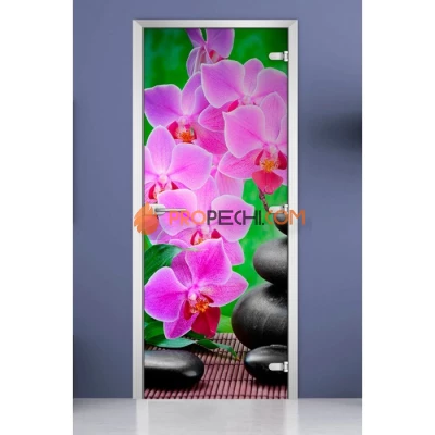 Стеклянная межкомнатная дверь DoorWood с фотопечатью Spa-04, 2000х700 мм