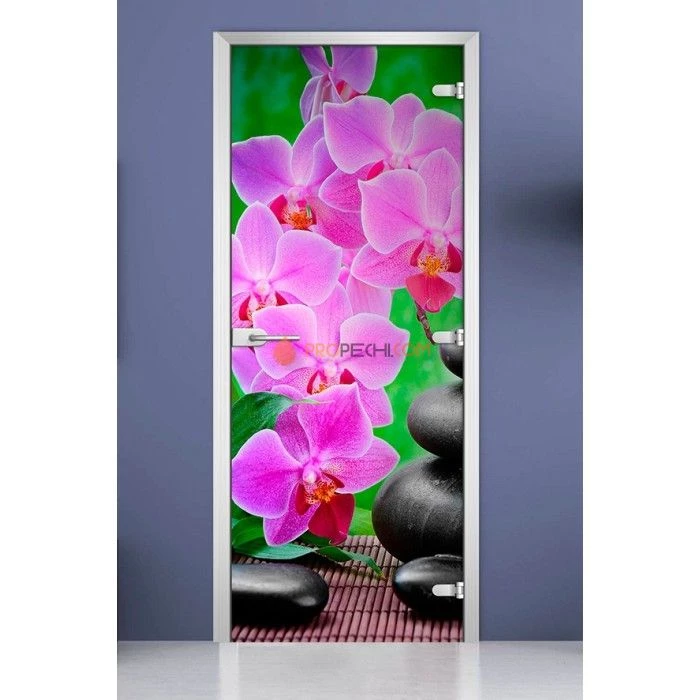Стеклянная межкомнатная дверь DoorWood с фотопечатью Spa-04, 2000х800 мм