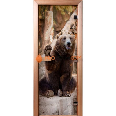 Дверь для бани DoorWood Фотопечать А061, 1800x600 мм