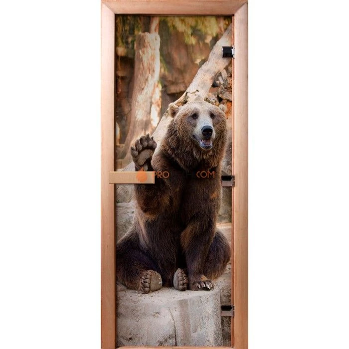 Дверь для бани DoorWood Фотопечать А061, 1800x600 мм