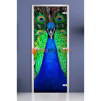 Стеклянная межкомнатная дверь DoorWood с фотопечатью Animals-02, 2000х700 мм