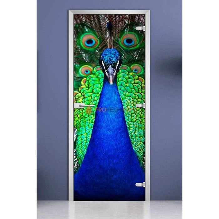 Стеклянная межкомнатная дверь DoorWood с фотопечатью Animals-02, 2000х700 мм