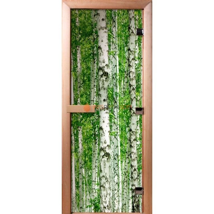 Дверь для бани DoorWood Фотопечать А084, 1800x700 мм