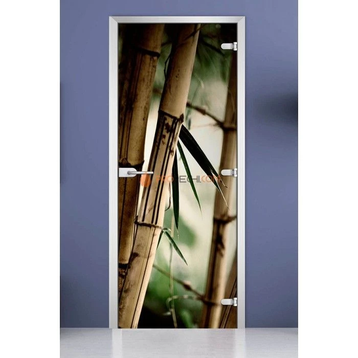 Стеклянная межкомнатная дверь DoorWood с фотопечатью Forest-19, 2000х800 мм