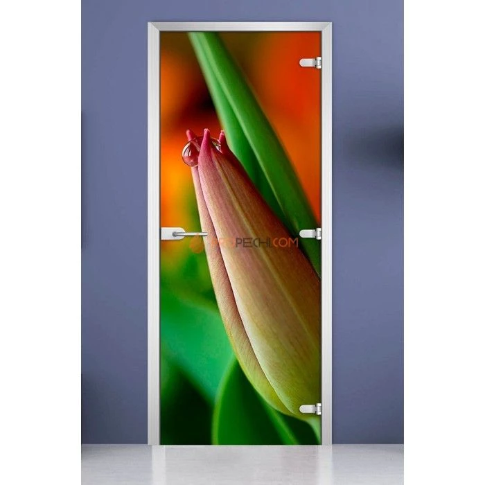 Стеклянная межкомнатная дверь DoorWood с фотопечатью Flowers-10, 2000х700 мм