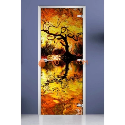 Стеклянная межкомнатная дверь DoorWood с фотопечатью Forest-04, 2000х800 мм