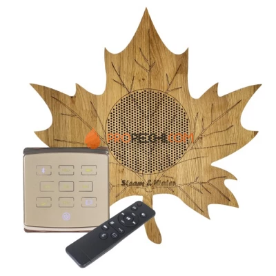 Комплект акустической системы встраиваемый SW 1 Gold ECO Wood, Кленовый лист (одна колонка)