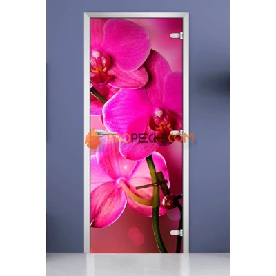 Стеклянная межкомнатная дверь DoorWood с фотопечатью Flowers-19, 2000х700 мм