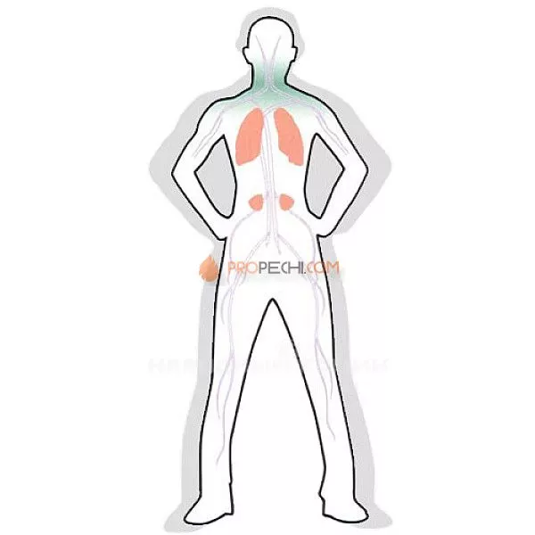 Жадеит галтованный (20 кг.)