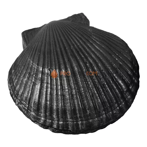 Камень чугунный КЧР-2 Ракушка большая