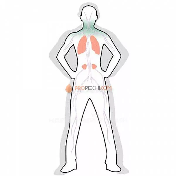 Камни для бани Жадеит колотый (15 кг.)